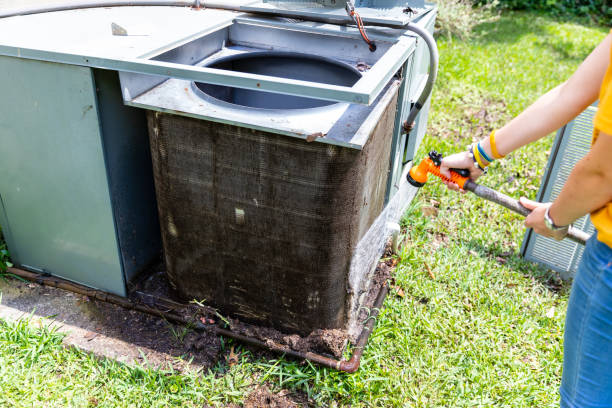 Best Home Air Vent Cleaning  in Newaygo, MI