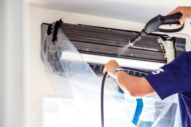 Best Air Duct Sanitizing Services  in Newaygo, MI